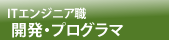 開発・プログラマ